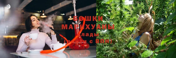 сатива Верхнеуральск