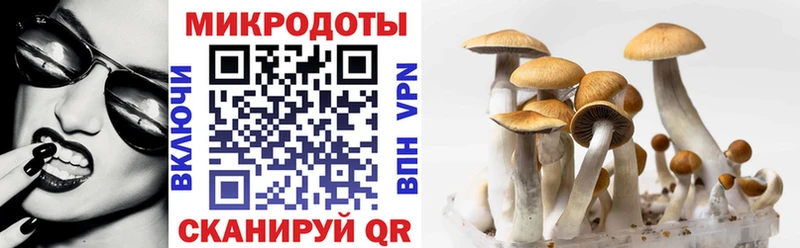 ОМГ ОМГ ТОР  Волчанск  Галлюциногенные грибы Psilocybe 
