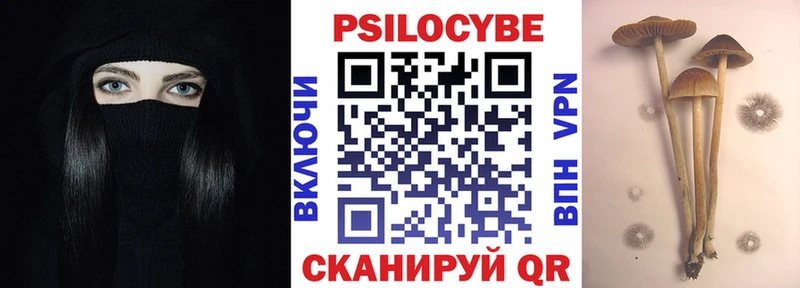 Псилоцибиновые грибы Psilocybe Волчанск